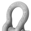 Bow Shackle Powertex PBSP