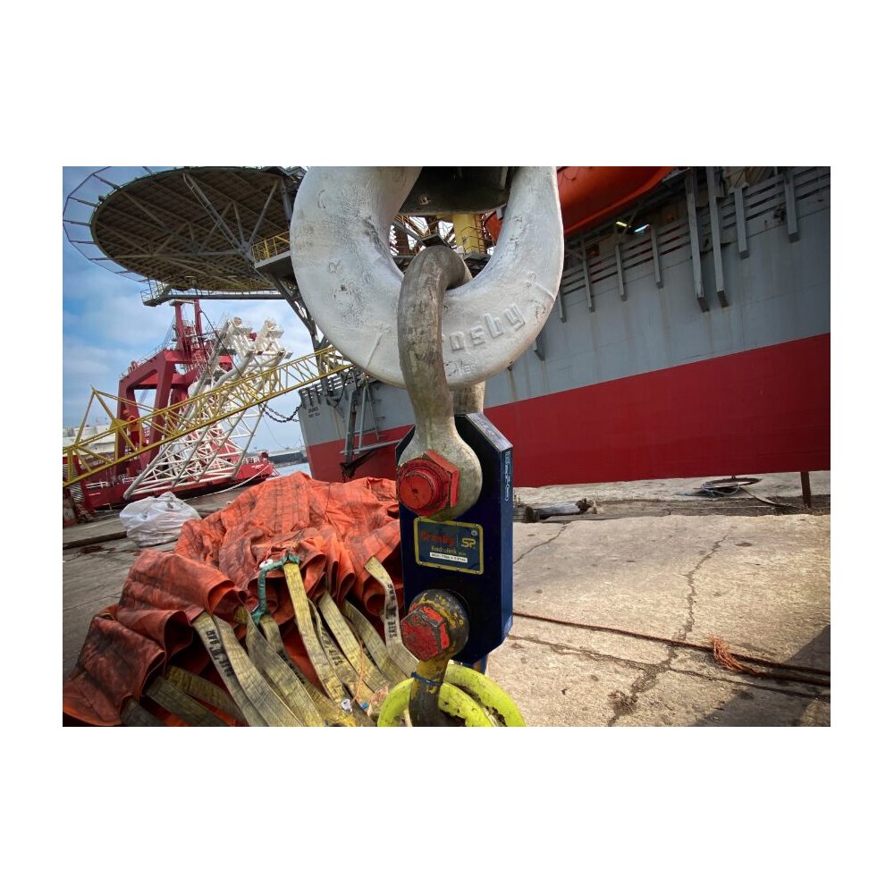 Crane Scale Radiolink Plus Crosby