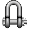 Dee Shackle with Safety Bolt R-7823, Stainless Steel 
