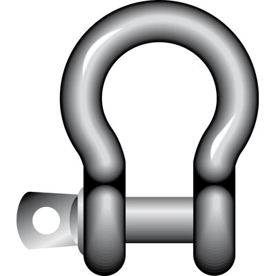 Bow Shackle with Screw Pin R-7825, Stainless Steel