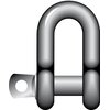 Dee Shackle with Screw Pin R-7821, Stainless Steel 