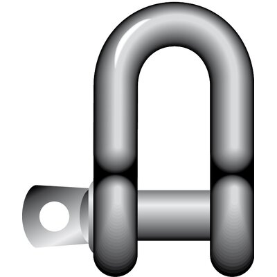 Dee Shackle with Screw Pin R-7821, Stainless Steel 
